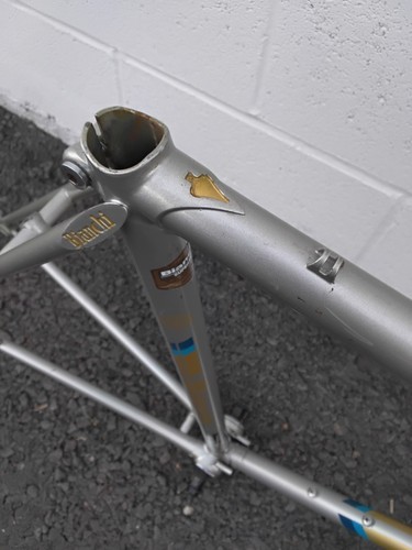 Vintage bianchi limited 53cm - limited,